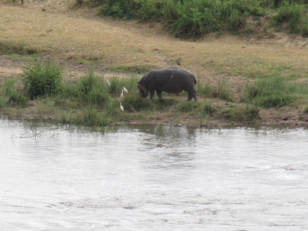 Pestana Kruger Lodge Malalane Ngoại thất bức ảnh